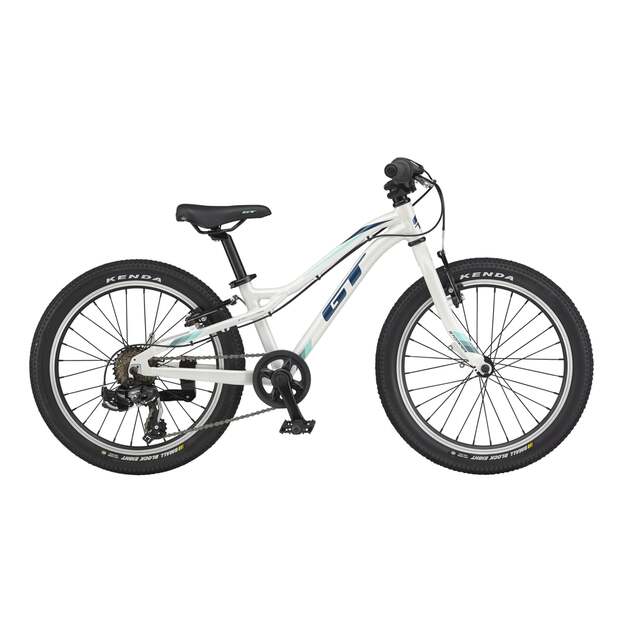 Vaikiškas dviratis GT STOMPER 20  ACE (G54401U30/WHT)