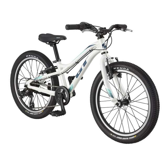 Vaikiškas dviratis GT STOMPER 20  ACE (G54401U30/WHT)