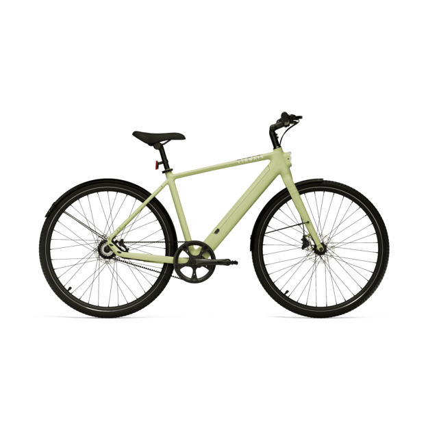 Elektrinis dviratis TENWAYS CGO600 PRO (žalios spalvos)