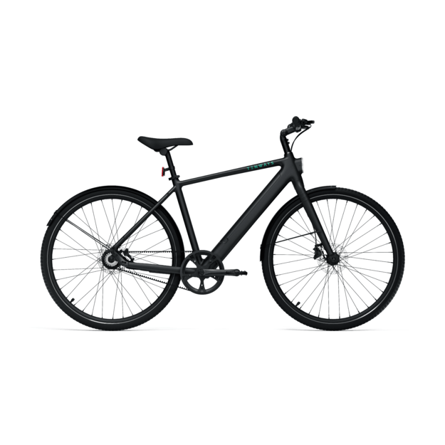 Elektrinis dviratis TENWAYS CGO600 PRO (juodos spalvos)