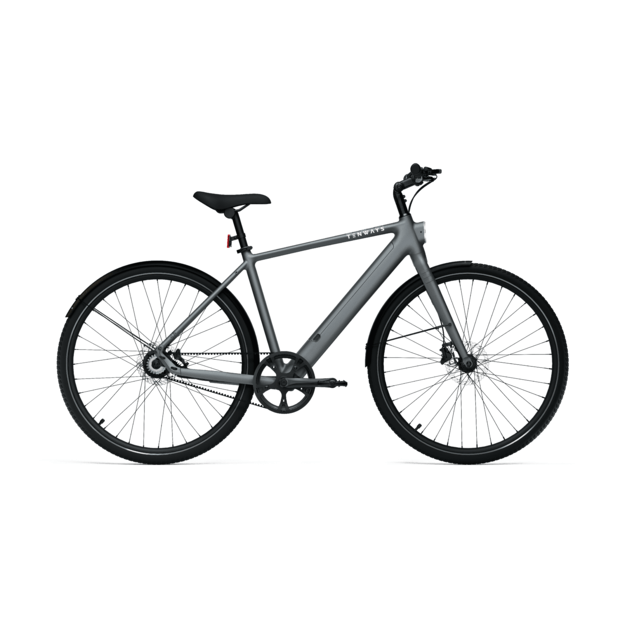 Elektrinis dviratis TENWAYS CGO600 PRO (pilkos spalvos)