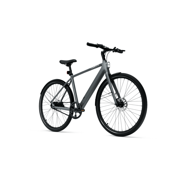 Elektrinis dviratis TENWAYS CGO600 PRO (pilkos spalvos)