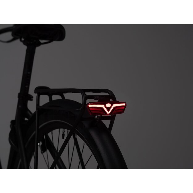 Elektrinis dviratis TENWAYS CGO800S (juodos spalvos)