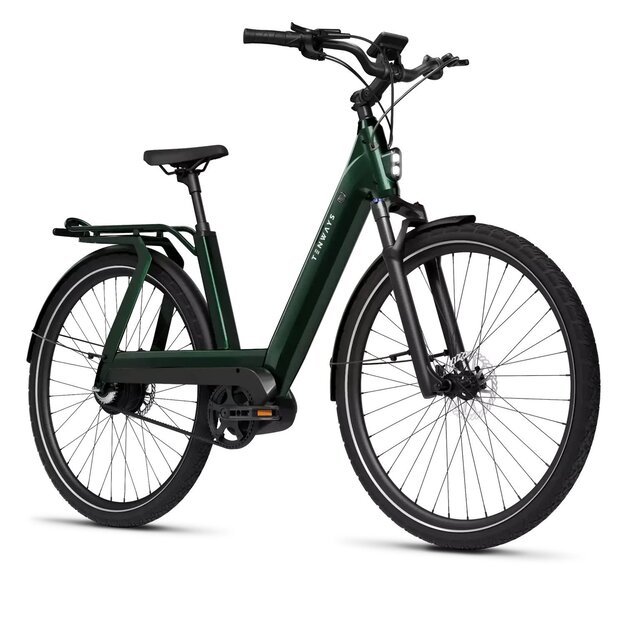 Elektrinis dviratis TENWAYS AGO T (žalios spalvos)
