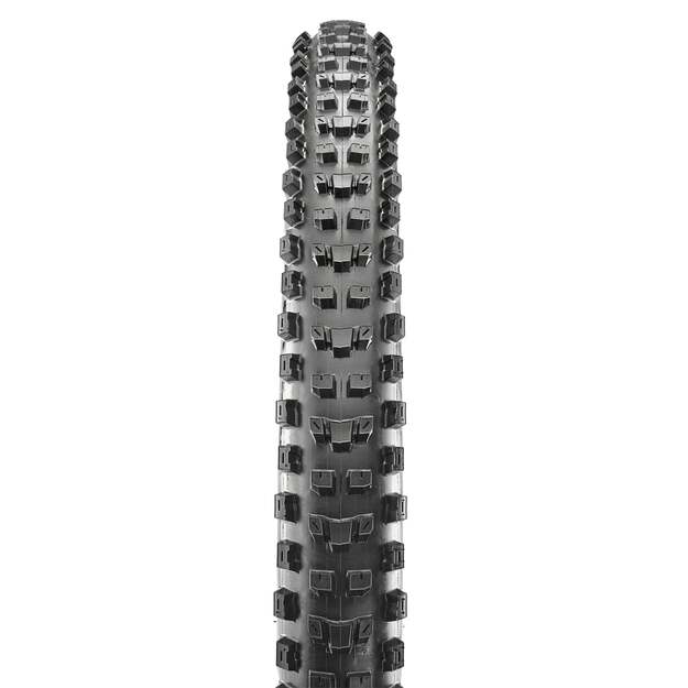 MAXXIS TIRE DISSECTOR 29X2.60 FOLDABLE EXO/TR (ETB00240800)